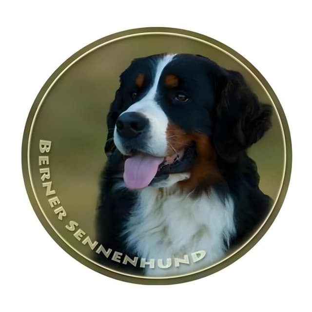 Berner Sennenhund Aufkleber, Wasserfest Reflektierend, für Auto, Laptop, Kühlschrank, Stoßstange und Fenster (25cm/9.8 Inch)