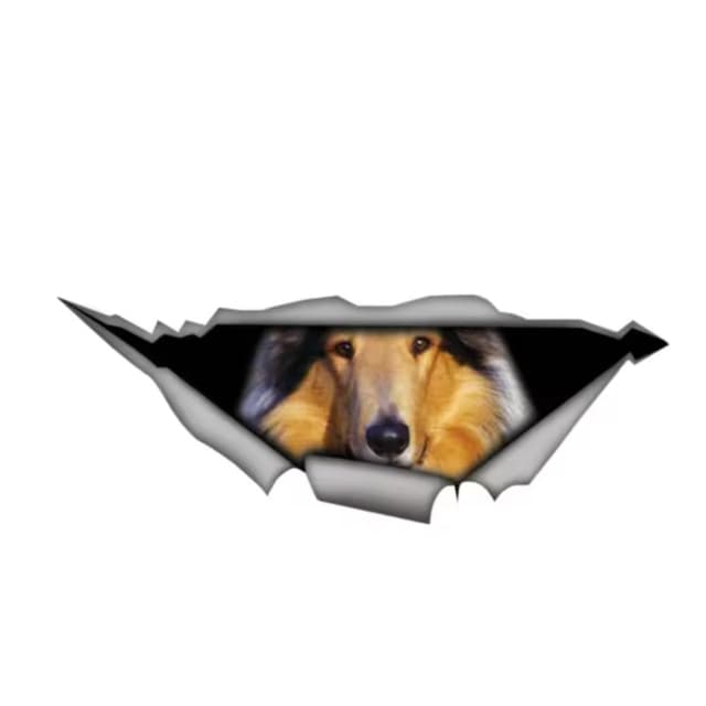 Collie Wilden Tier Aufkleber, Scottish Shepherd 3D Zerrissener Effekt, Wasserfest, lustiger Aufkleber Dekorativ für Laptop, Kühlschrank, Auto, Stoßstange, Fenster (15cm/5.9 Inch)
