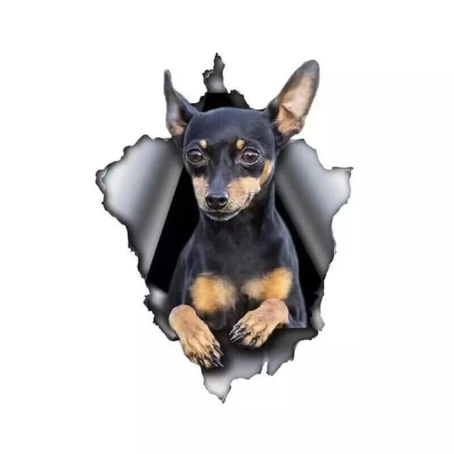 Miniature Pinscher Aufkleber, Wasserdicht Reflektierend, 3D Zerrissener Effekt für Stoßstange, Fenster, Laptop, Kühlschrank (15cm/5.9 Inch)
