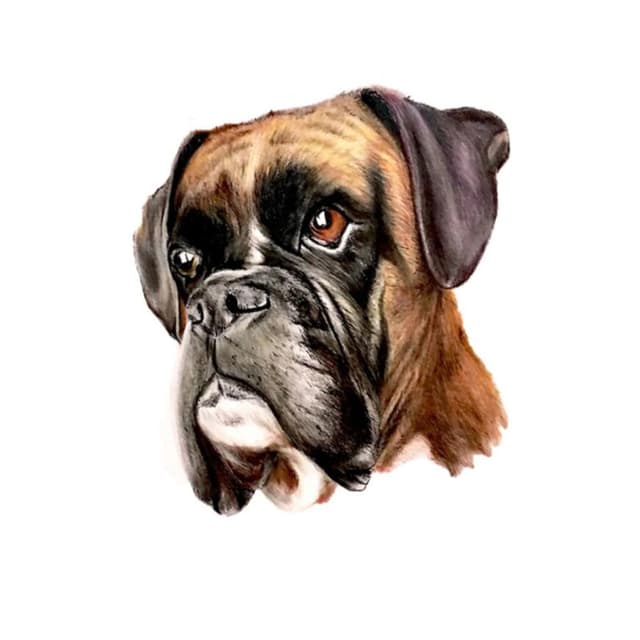 Lustig Boxer Hund Aufkleber, Wasserfest, Reflektierend, für Auto, Laptop, Kühlschrank, Stoßstange, Fenster und Heim-Dekoration (22cm/8.7 Inch)