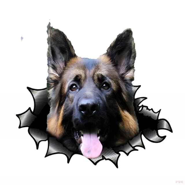 Autoaufkleber 15Cm Deutscher Schäferhund Aufkleber German Shepherd Car Stickers Haustier Hund Zerrissenes Aufkleber Reflektierende Wasserfester Auto Aufkleber Auto Stoßstange Kofferraum Dekor D2012# 15cm(5.9Inch)