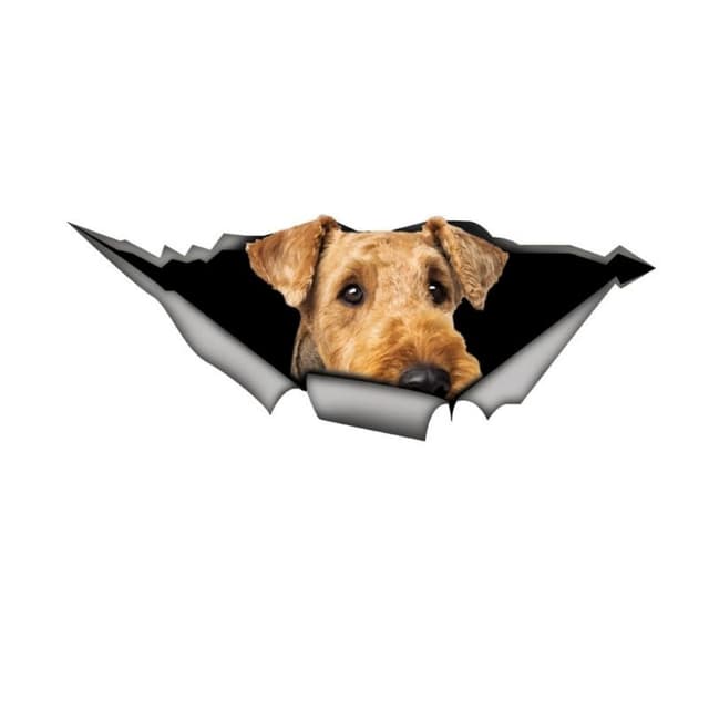 Airedale Terrier Aufkleber, 3D Zerreiß-Effekt Design, Wasserfest für Auto, Laptop, Kühlschrank, Stoßstange und Fenster (15cm/5.9 Inch)