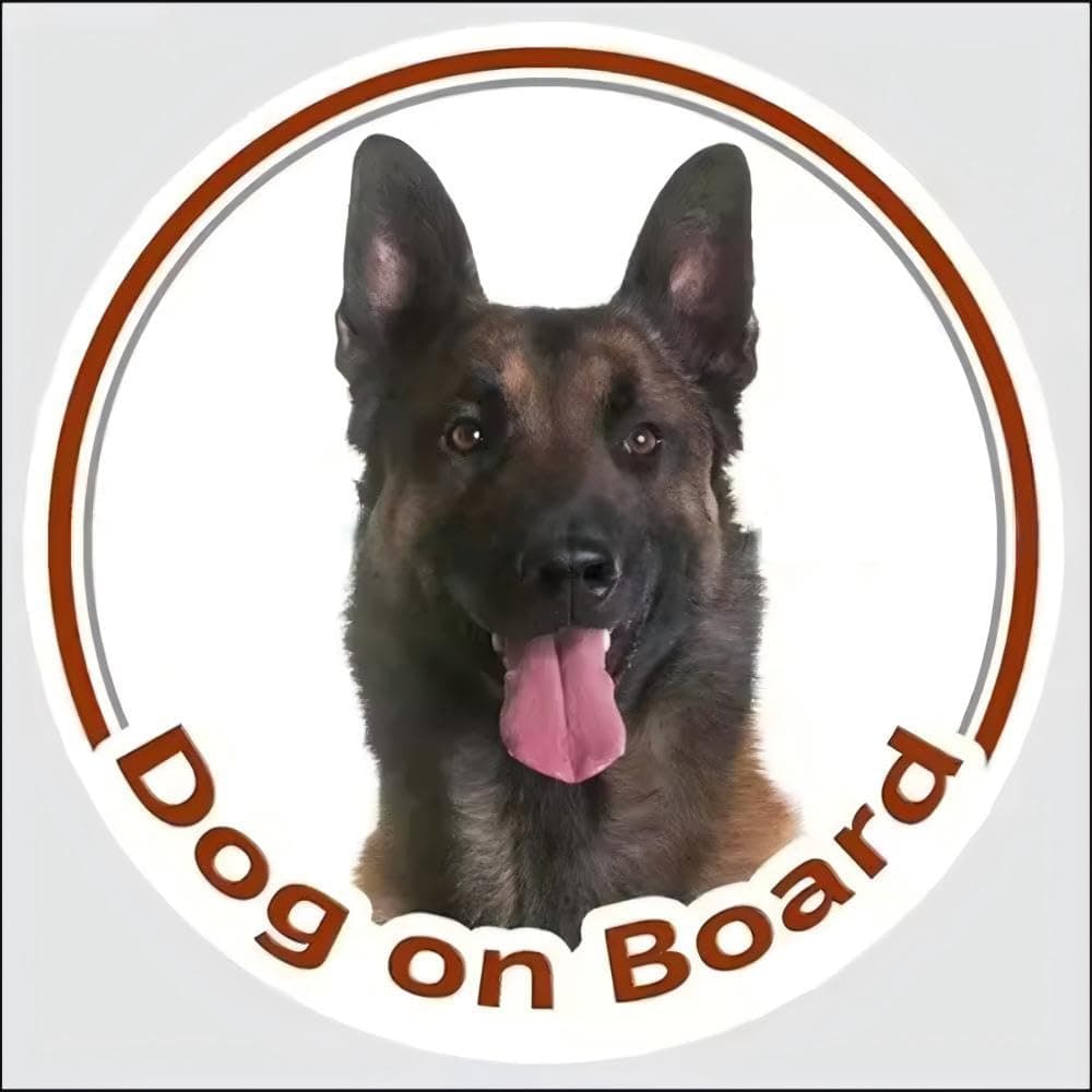 Belgischer Malinois Aufkleber,Lustig Dog On Bord Autoaufkleber, Reflektierend Wasserfest, für Stoßstange und Fenster (15cm/5.9 Inch)