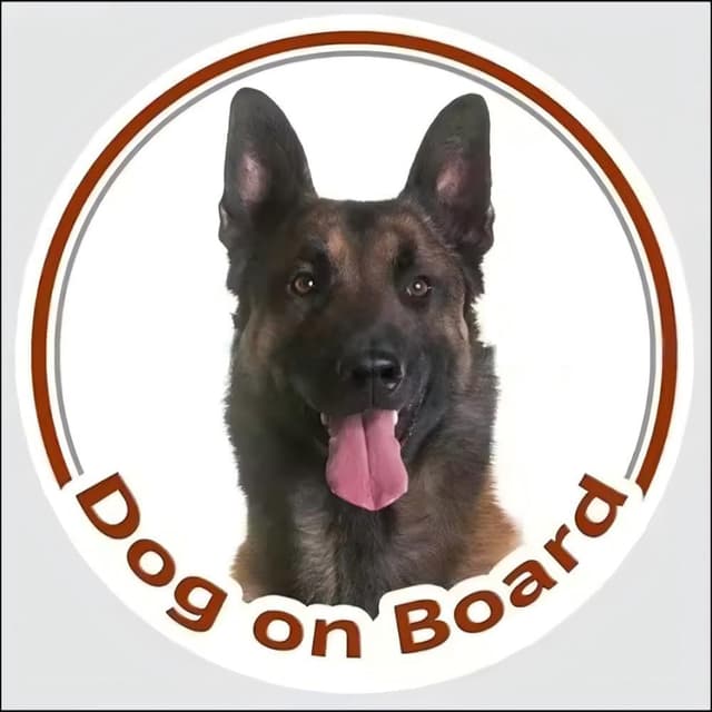 Belgischer Malinois Aufkleber,Lustig Dog On Bord Autoaufkleber, Reflektierend Wasserfest, für Stoßstange und Fenster (15cm/5.9 Inch)