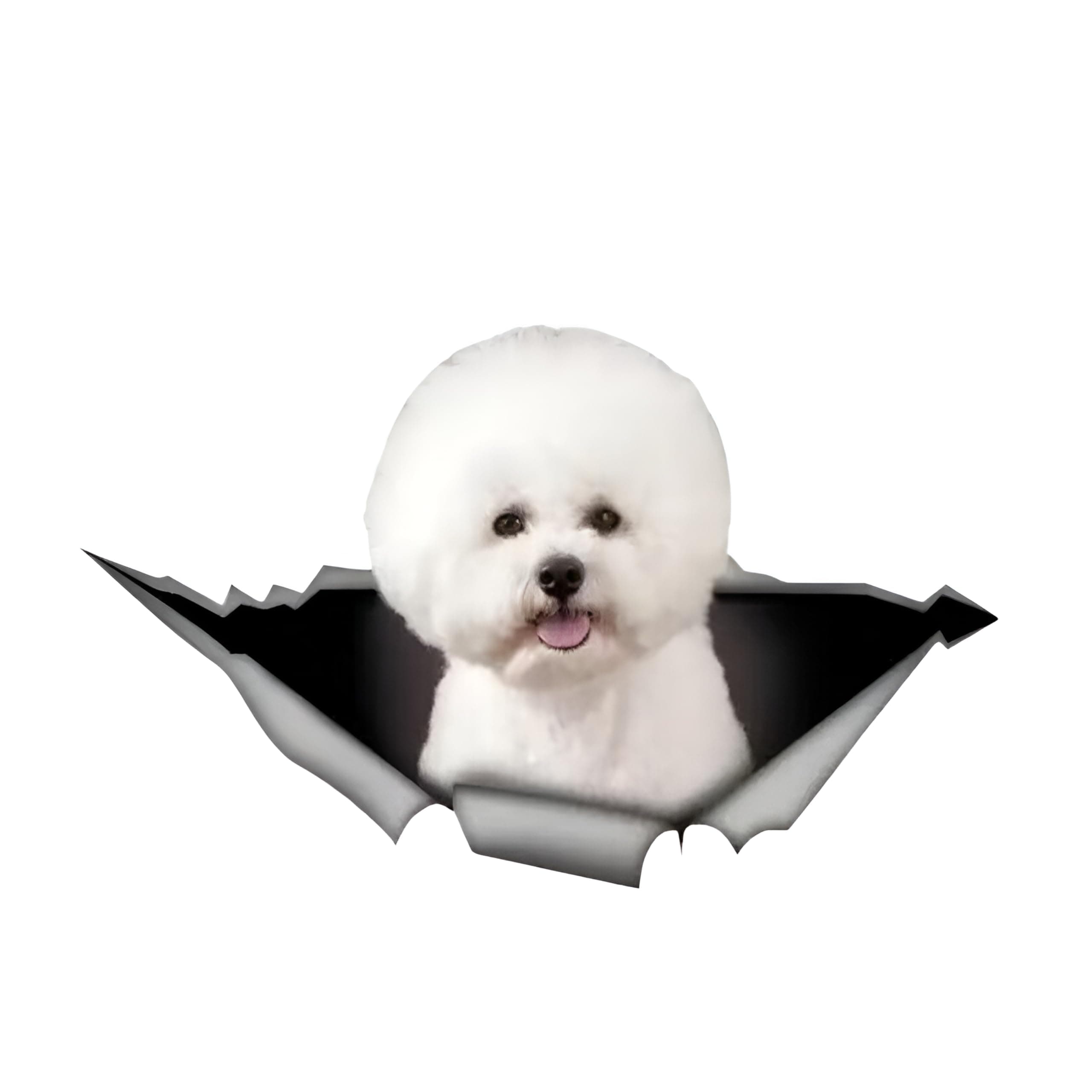 Autoaufkleber Bichon Frise Aufkleber 18cm(7.1 Inch) Bichon Frise 3D Zerrissen Autoaufkleber Wasserdichte Reflektierende Aufkleber Stoßstange Heckscheibe Autofenster Personalisiert Dekor Sticker 18cm(7.08Inch)
