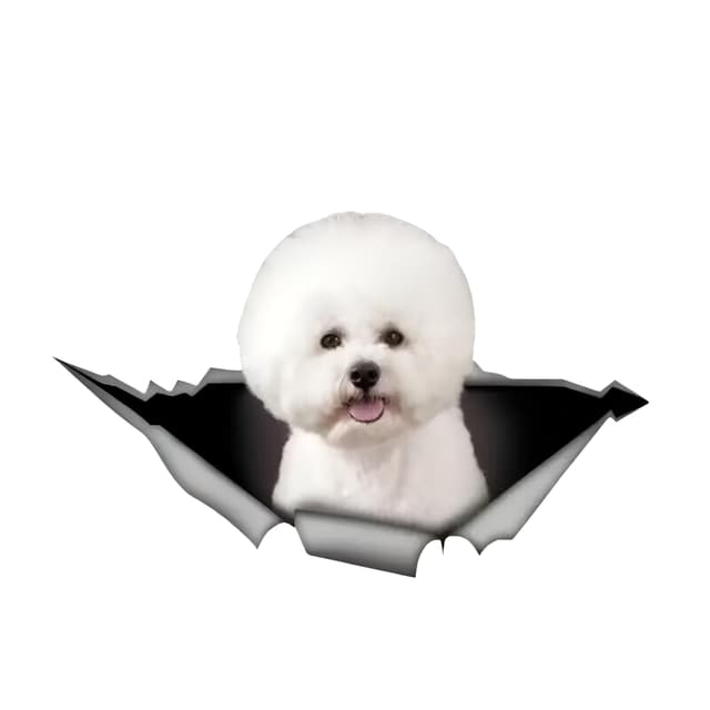 Autoaufkleber Bichon Frise Aufkleber 18cm(7.1 Inch) Bichon Frise 3D Zerrissen Autoaufkleber Wasserdichte Reflektierende Aufkleber Stoßstange Heckscheibe Autofenster Personalisiert Dekor Sticker 18cm(7.08Inch)