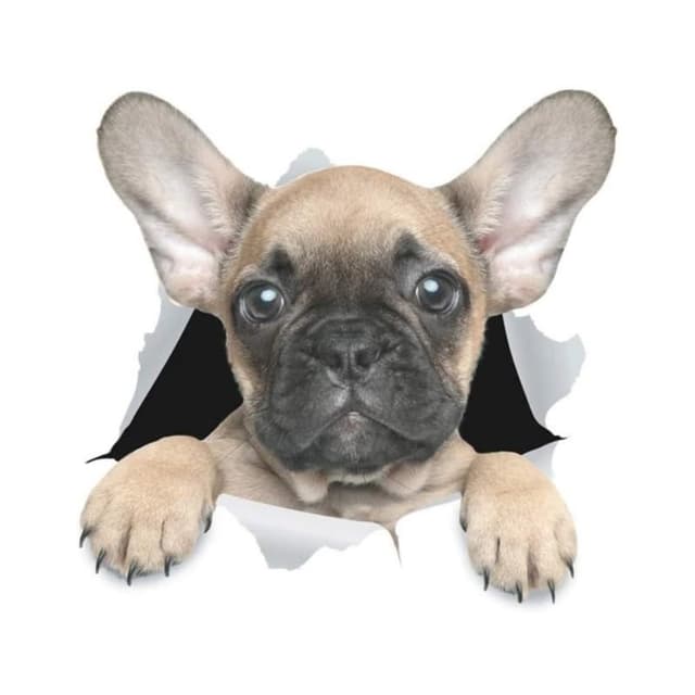 Französische Bulldogge Aufkleber, 3D Durchbruch-Design, Wasserfest, Reflektierende Aufkleber für Laptop, Kühlschrank, Auto, Stoßstange und Fenster (15cm/5.9 Inch)
