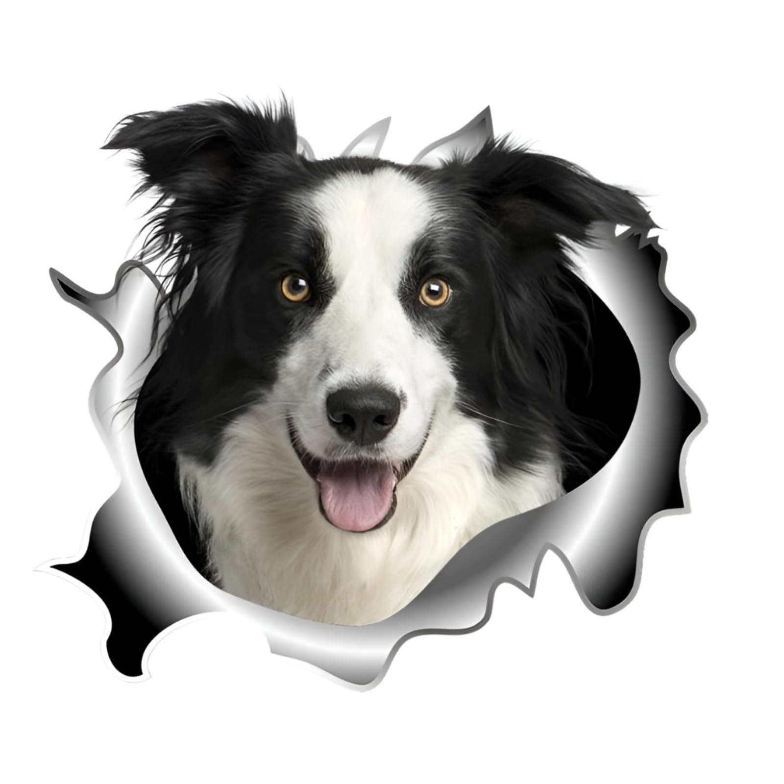 Autoaufkleber 25cm(9.8 Inch) Border Collie Aufkleber Lustig Border Collie Car Sticker Haustier Hund Wasserdichte Aufkleber 3D Zerrissen Metall Reflektierende Aufkleber Stoßstange Dekor Aufkleber 25cm(9.84Inch)