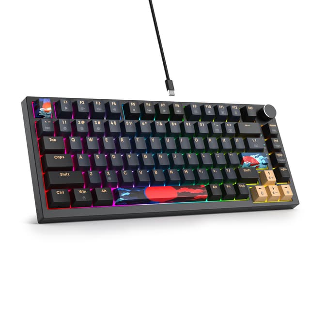 SOLIDEE verkabelte mechanische Gaming Tastatur 75%,hot-swap-fähige mechanische Tastatur Gasket,RGB Hintergrundbeleuchtung,QWERTY 82 Tasten Gaming Tastatur,NKRO Tastatur mit Drehknopf(82 Blue Samurai) 82 Blue Samurai/Red Switch