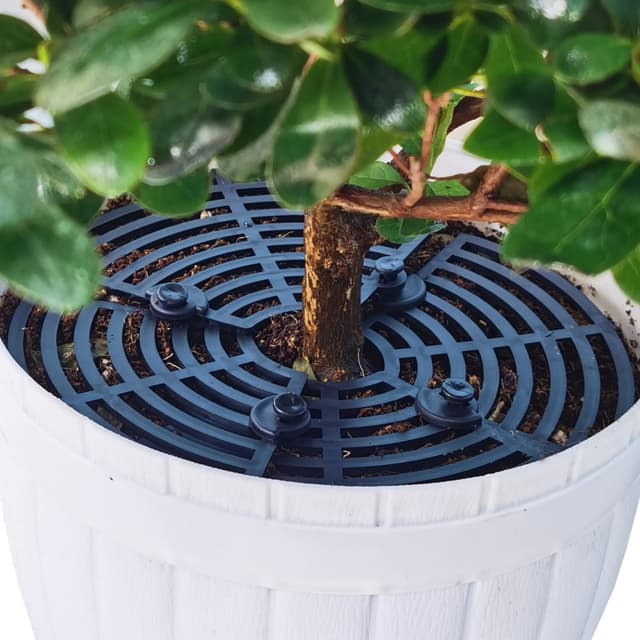 LXGKREL Blumentopfschutz Blumentopfgitter Blumen- & Pflanzensicherungen Pflanzenschutzgitter schützt vor Tieren und Kindern Schwarz30cm