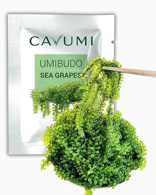 CAVUMI Sea Grapes 25gr / Meerestrauben als Algen Snack/Getrocknete Seealgen/Umibudo als knackiger Grüner Kaviar (25g_1er Pack)