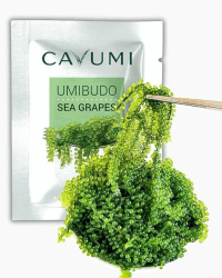 CAVUMI Sea Grapes 25gr / Meerestrauben als Algen Snack/Getrocknete Seealgen/Umibudo als knackiger Grüner Kaviar (25g_1er Pack) Angebot bei HelloDeals