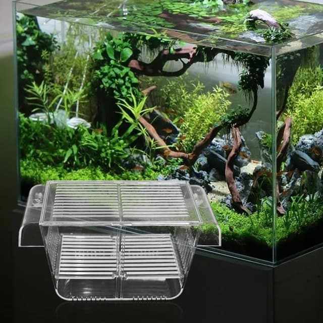 Aquarium Fischbrutkasten, Aufzuchtbecken Aquarium mit Saugnäpfen Acryl Laichkasten für Babyfische Garnelen Betta, Brutkasten Groß für Aggressive Garnelen Fische Guppy und Platy