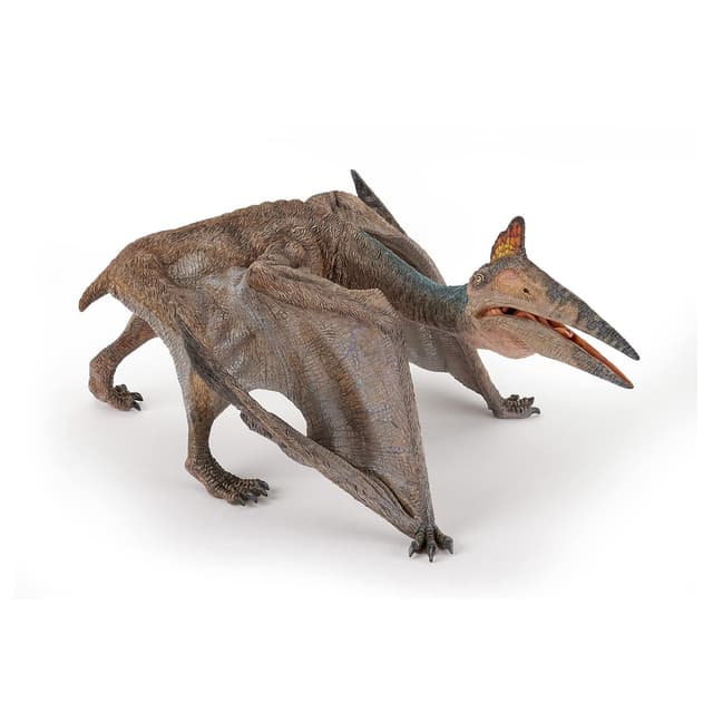 Papo - Große Dinosaurier-Figur - Quetzalcoatlus, Dinosaurier aus Jurassic World, Kinderspielzeug ab 3 Jahren - 19*14cm - Prähistorischer Flug zur Entdeckung der Himmelsriesen - Dinosaurier-Spielzeug