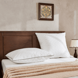 Deodar Daunenkissen Federkissen 80x80, 100% Feder- und Daunenfüllung Schlafkissen Luxus Hotel Dekokissen, 3-Kammer Atmungsaktiv, Baumwollbezug, Waschbar, Öko-Tex und RDS Zertifiziert, 2er Pack