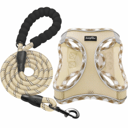 haapaw Hundegeschirr und Leine Set, kein Ziehen, verstellbares, reflektierendes Step-in-Welpengeschirr mit Dicker, gepolsterter Weste für extra kleine/kleine mittelgroße Hunde Beige S (Brust 31.75-37.3 cm, Gewicht 3.2-5 kg)