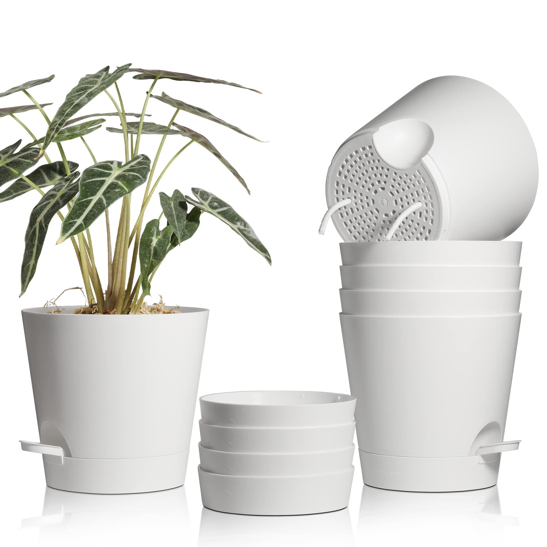 T4U Kunststoff Blumentopf mit Bewässerungssystem, 6er-Set Selbstbewässerung Übertopf mit Untersetzer, Rund Pflanzkübel für Innen und Balkon Garten Pflanzen Sukkulenten Kaktus (20cm, Weiß) 20cm Weiß