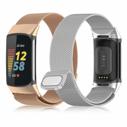 ALULU 2 Stück Metall Armband für Fitbit Charge 6/5 Damen Herren, Magnetverschluss Maschen Schleife Verstellbares Armband Kompatibel mit Fitbit Charge 6/5, Champagner Gold & Silber