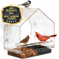 Birds-I-View Fenster-Vogelfutterstation 1 Polycarbonat (PC)