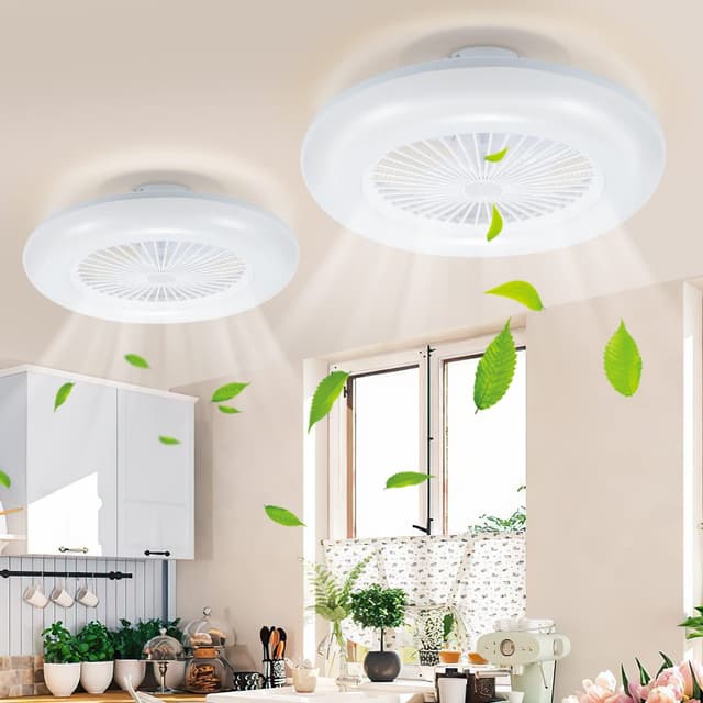 Daromigo Deckenventilator Mit Beleuchtung, 2x80W LED Stufenloses Dimmen Ventilator Beide Richtungen Drehen, mit Fernbedienung und mobiler APP, 3 Farbtemperatur 6-Gang and Timer Ventilatorlicht 55cm mit Fernbedienung&app,sommer-wintermodus 2 Stücke