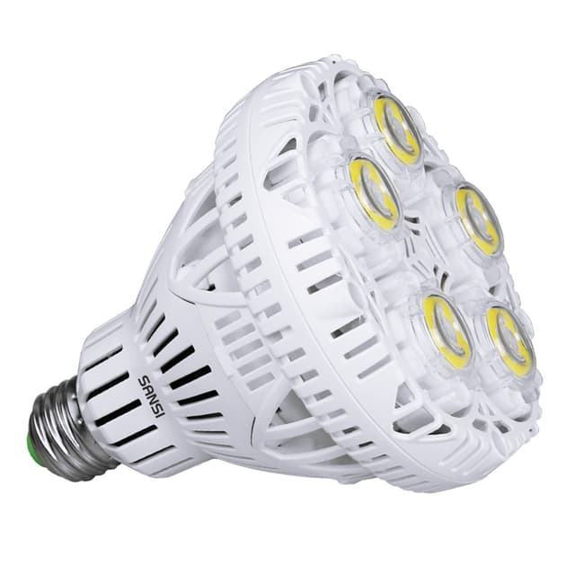 SANSI 30W (250W äquivalent) BR30 LED Lampe, Werkstattlampe 4000 Lumen, 5000K Weiß, CRI 80, E27 Glühbirnen für Garage Keller Lager Fabrik Kirche Scheune Sporthalle, nicht dimmbar