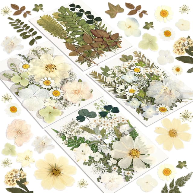 Getrocknete Blumen, Resiners 100 Stück Gepresste Blumen für Harz, Seife, Kerzen, Scrapbooking & Karten – Echte Natürliche Getrocknete Blumen & Blätter Set für DIY Papierbasteln & Schmuckdekoration E.weiß 100Stück