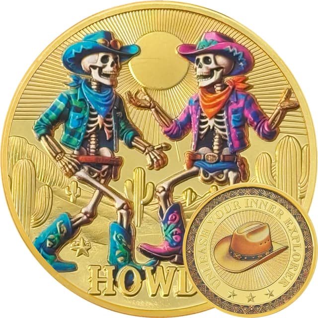Memento Mori Münze Totenkopf-Genesung Sucht Schädel AA Münzen - Bestätigung NA AA Chips und Medaillen - Feiere das Leben in Reinheit Narcotics Alkoholics Anonymous Geschenke für Männer und Frauen Cowboy-Skelett