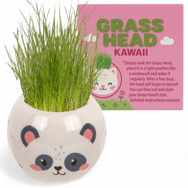 MIJOMA Graskopf Pflanzset – Tierfiguren mit Erde & Grassamen, 6,5 cm Kunststofftopf zum Basteln & Bepflanzen, DIY-Deko für Kinder & Erwachsene (Panda – Kawaii)