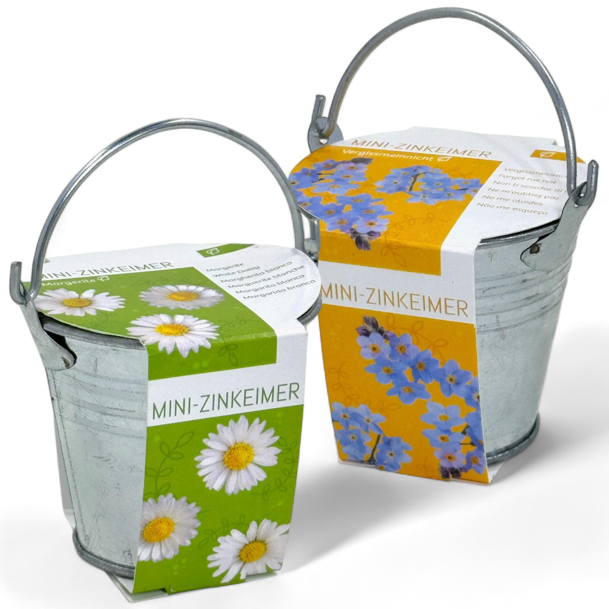 MIJOMA Mini-Zinkeimer Set mit Blumensamen - 2-teilig, Inklusive Kokosquellpad, Perfekt als Beigabe zu Geldgeschenken oder Gutscheinen, B:6,5cm H:5,5cm T:6,5cm (Margeriten und Vergiss-mein-nicht)