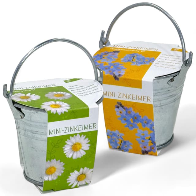 MIJOMA Mini-Zinkeimer Set mit Blumensamen - 2-teilig, Inklusive Kokosquellpad, Perfekt als Beigabe zu Geldgeschenken oder Gutscheinen, B:6,5cm H:5,5cm T:6,5cm (Margeriten und Vergiss-mein-nicht)