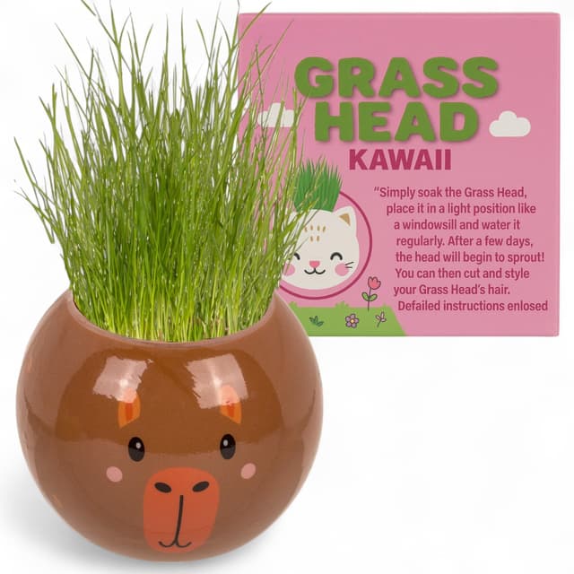 MIJOMA Graskopf Pflanzset – Tierfiguren mit Erde & Grassamen, 6,5 cm Kunststofftopf zum Basteln & Bepflanzen, DIY-Deko für Kinder & Erwachsene (Bär – Kawaii)