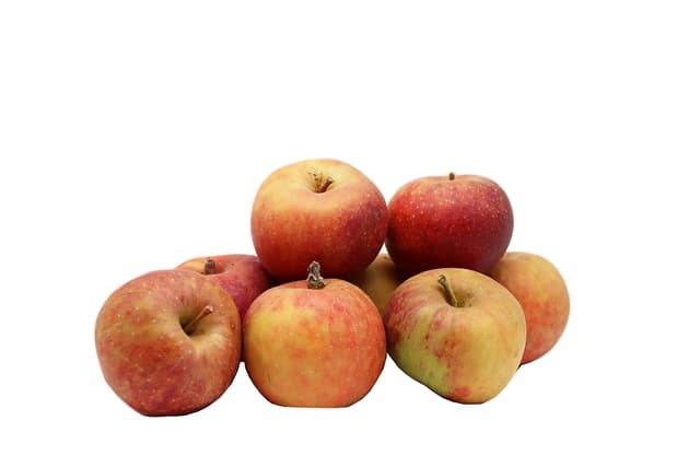 BLEICHHOF® Äpfel Boskop - frisch & knackig, aus der Pfalz (5kg) 5 kg (1er Pack)