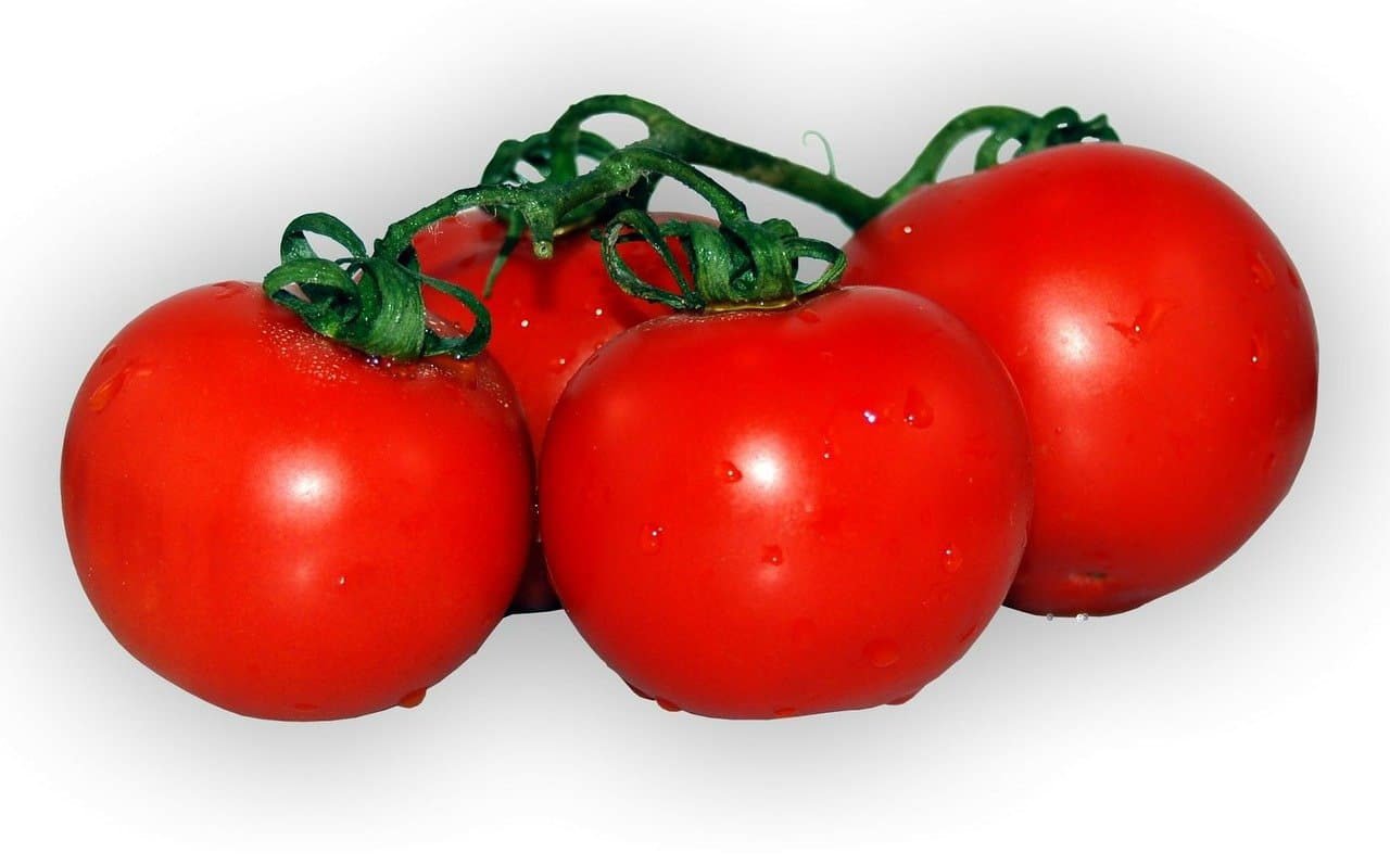 Strauchtomaten frisch und schnittfest, 1 kg Packung