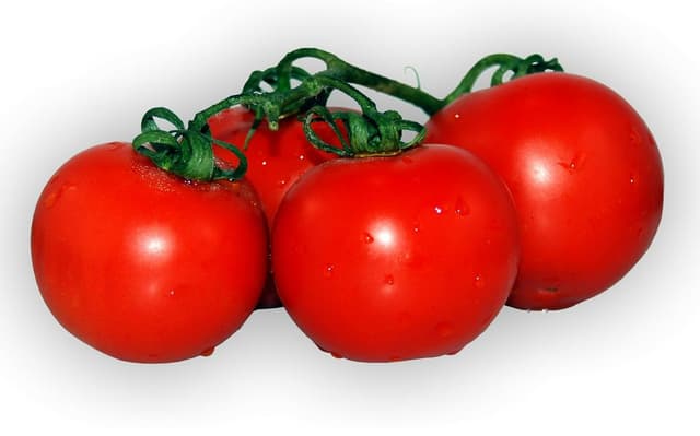 Strauchtomaten frisch und schnittfest, 1 kg Packung