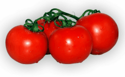 Strauchtomaten frisch und schnittfest, 1 kg Packung Angebot bei HelloDeals