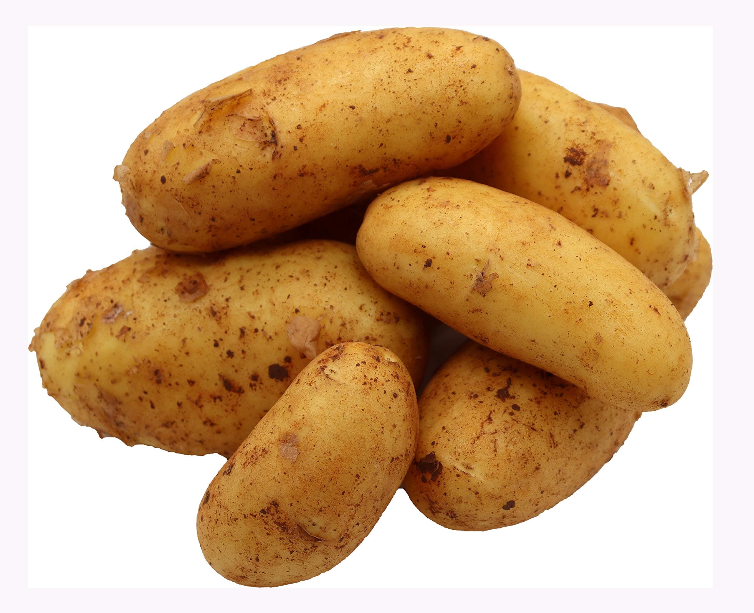 BLEICHHOF® 5kg Annabelle Kartoffeln aus der Pfalz - Sorte: Annabelle festkochend Salatkartoffel, Ernte 2025 5.0 Kilogramm