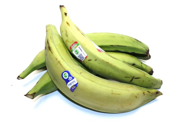 Kochbananen (Plátanos) – ideal zum Braten, Kochen & Frittieren – tropische Spezialität für herzhafte & süße Gerichte – frisch & grün geliefert