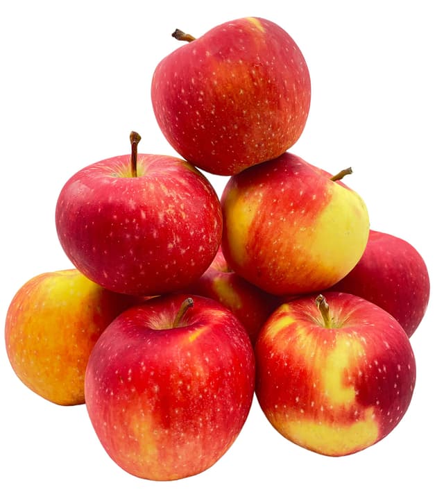 Bleichhof Äpfel Gräfin Goldach Allergikerfreundlich - Süß-Säuerliche Sorte aus der Pfalz (10kg) Neue Ernte 10.0 Kilogramm