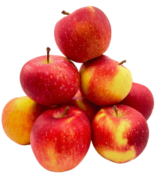 Bleichhof Äpfel Gräfin Goldach Allergikerfreundlich - Süß-Säuerliche Sorte aus der Pfalz (10kg) Neue Ernte 10.0 Kilogramm Angebot bei HelloDeals