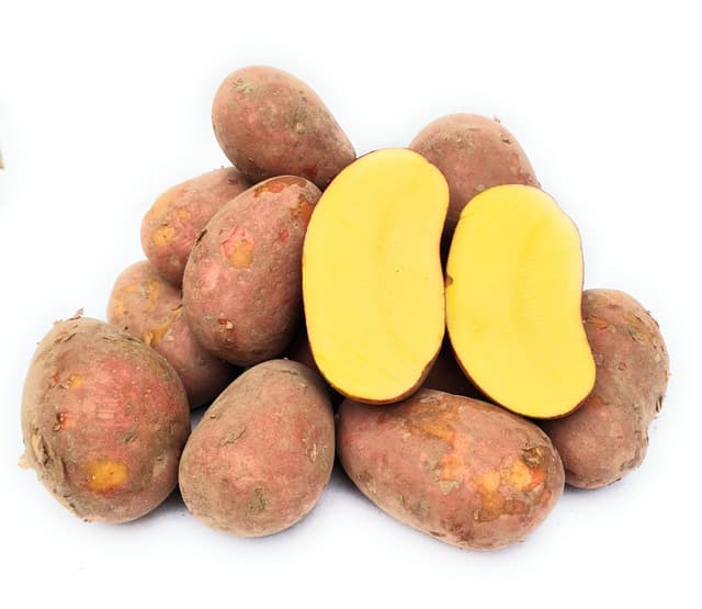 Laura Kartoffeln, rote Schale, vorwiegend festkochend, aus Ernte 2025, von Kehrbachs Hof aus Norddeutschland (2,5 Kg)