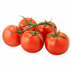 Frische Rispentomaten | Strauchtomaten | Fleischtomaten (1000 g) Angebot bei HelloDeals