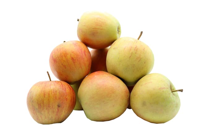 Bleichhof Äpfel Rubinette - saftig, fein-säuerliches Cox Orange Aroma, aus der Pfalz (5kg) Neue Ernte 5.0 Kilogramm