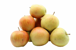 Bleichhof Äpfel Rubinette - saftig, fein-säuerliches Cox Orange Aroma, aus der Pfalz (5kg) Neue Ernte 5.0 Kilogramm Angebot bei HelloDeals