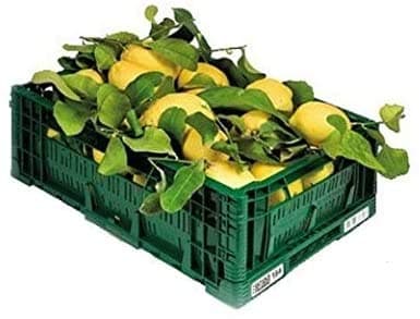 ZITRONEN NICHT BEHANDELT - Garantiertes Schalen-essbares - Giardino Digitale - Produkte in Kalabrien - ITALIEN (9) 9.0 Kilogramm