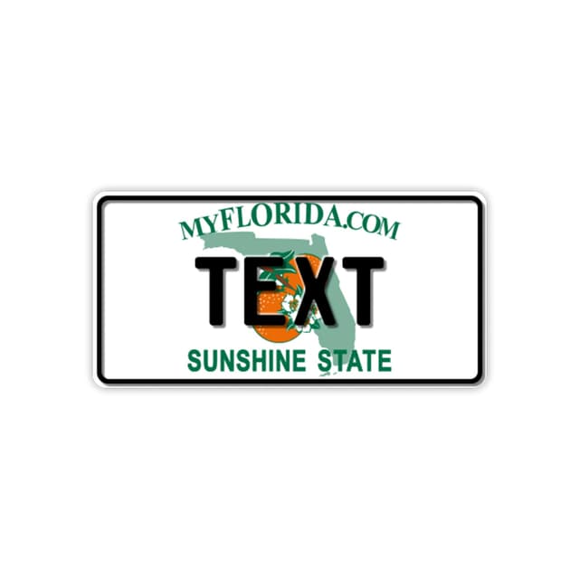 Funschilder.de - USA-Motiv, individuell gestaltetes Funschild, Wunschmotiv mit verschiedenen Staaten, Kennzeichen aus Aluminium mit Wunschtext, Made in Germany, 300 x 150 mm Florida My Florida.com
