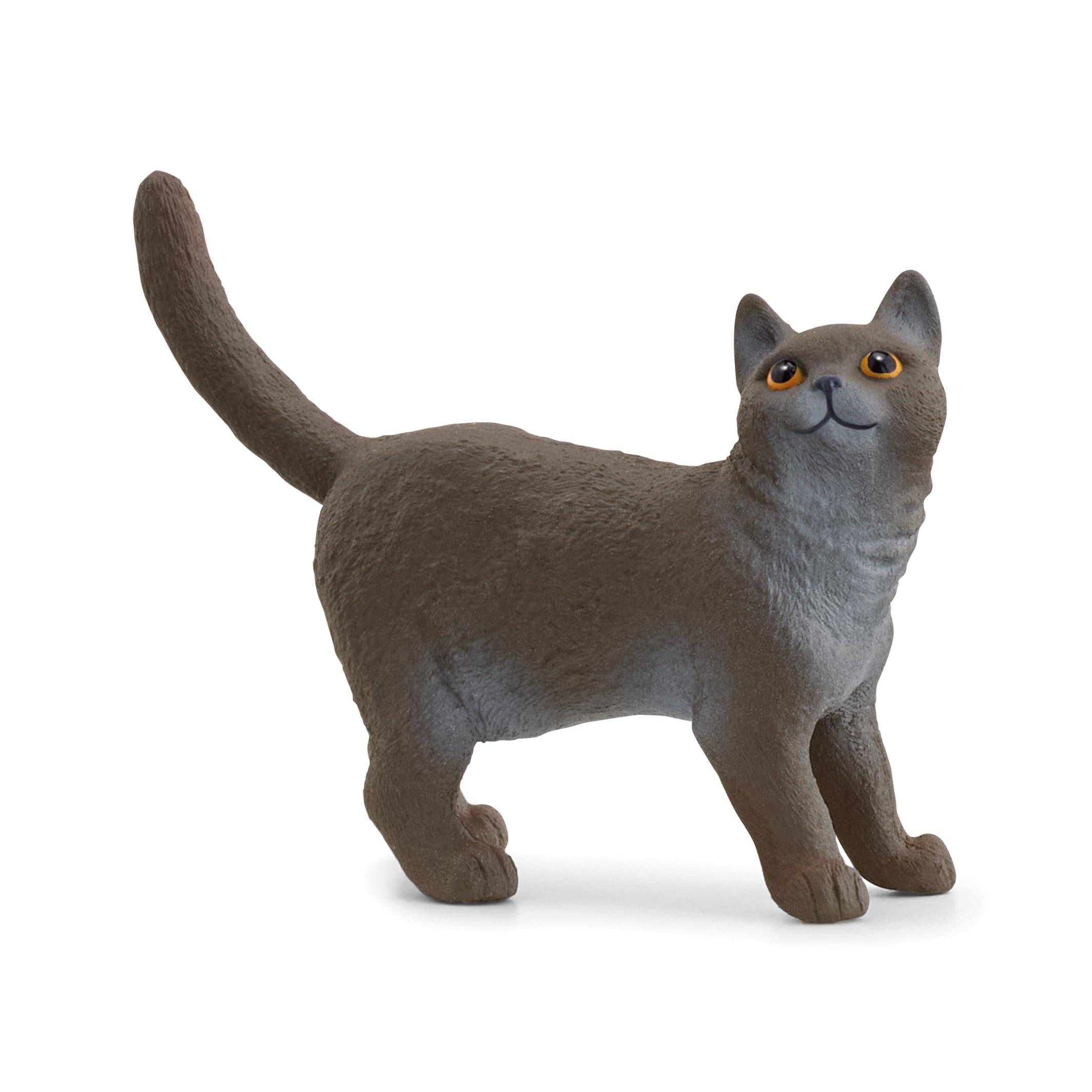SCHLEICH 13973 Britische Kurzhaar Katze, ab 3 Jahren, Farm World - Spielfigur, 2 x 6 x 4 cm