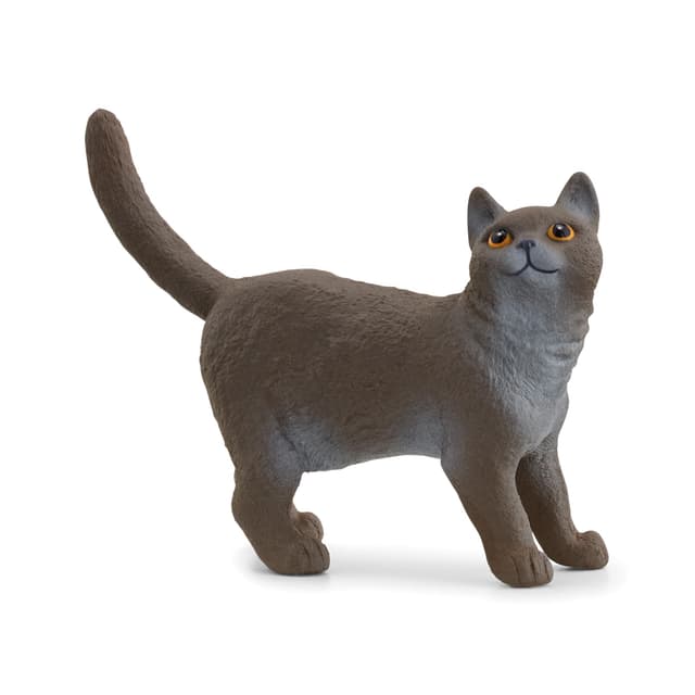 SCHLEICH 13973 Britische Kurzhaar Katze, ab 3 Jahren, Farm World - Spielfigur, 2 x 6 x 4 cm