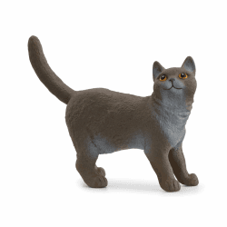 SCHLEICH 13973 Britische Kurzhaar Katze, ab 3 Jahren, Farm World - Spielfigur, 2 x 6 x 4 cm Angebot bei HelloDeals