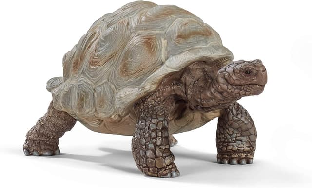 SCHLEICH WILD Life | Riesenschildkröte 14824 | detailgetreue Tierfiguren | Zoo Spielzeug Jungen und Mädchen | Deko für Geburtstag | Spielfigur ab 3 Jahren | 8 x 4 x 4 cm Single