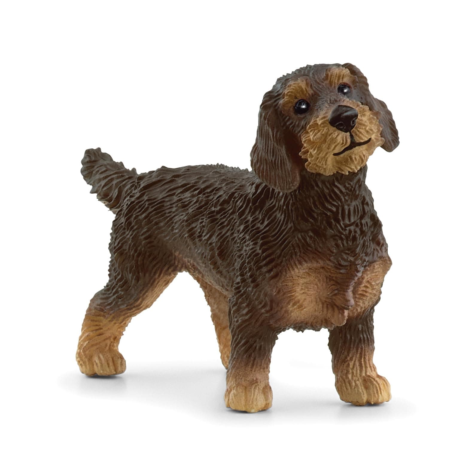 SCHLEICH 13972 Rauhaardackel, ab 3 Jahren, Farm World - Spielfigur, 2 x 7 x 4 cm